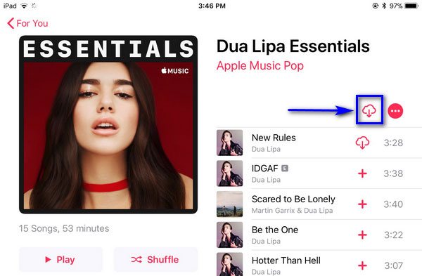 Download Apple Music Playlist on iPad