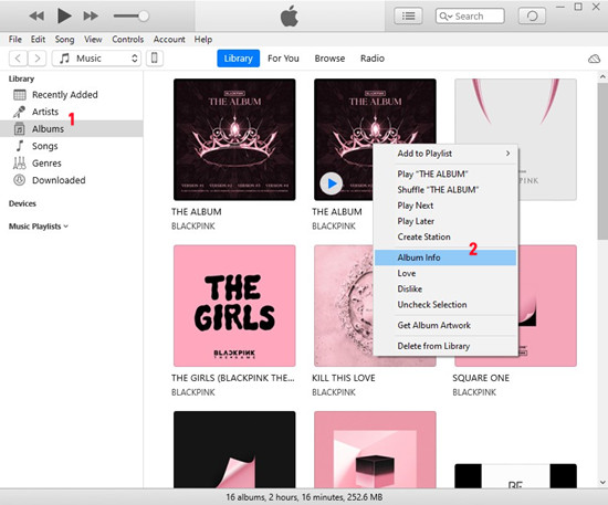 music album info in iTunes