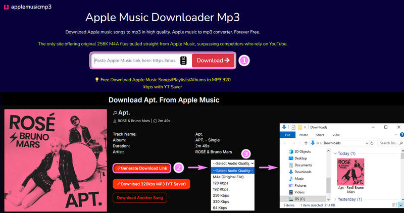 free apple music playlist to mp3 downloader