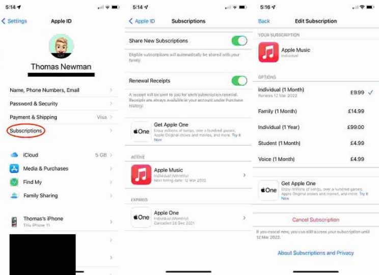 check apple music subscription on iphone