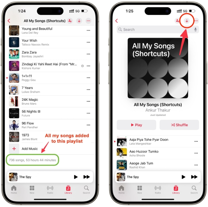 download icon