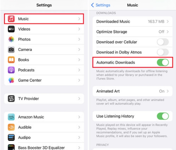 enable music automatic downloads