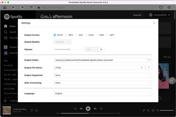 TuneMobie Spotify Music Converter Output Settings