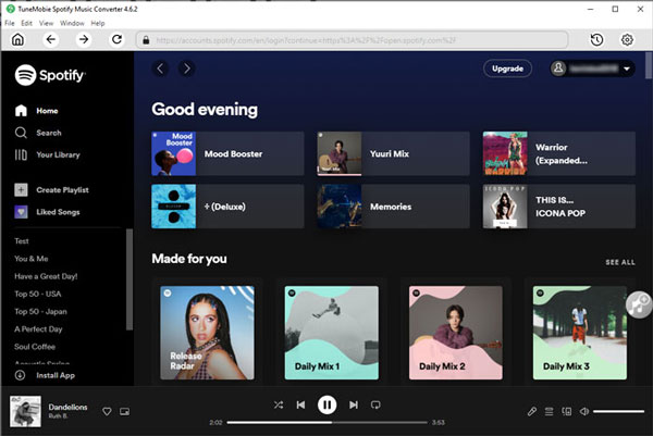 Browse built-in web player