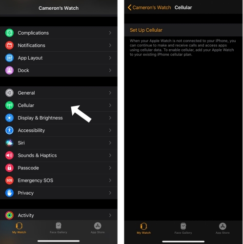 set up cellular on apple watch