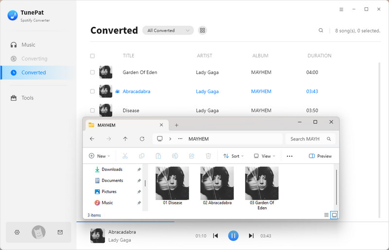 spotify local files